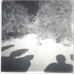 p062.jpg