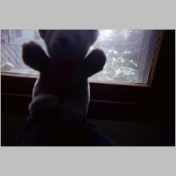 03.jpg