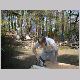 DSCF0011.AVI