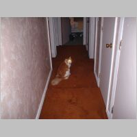 DSCF0037.JPG