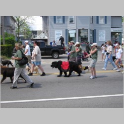 IMG_0825.JPG